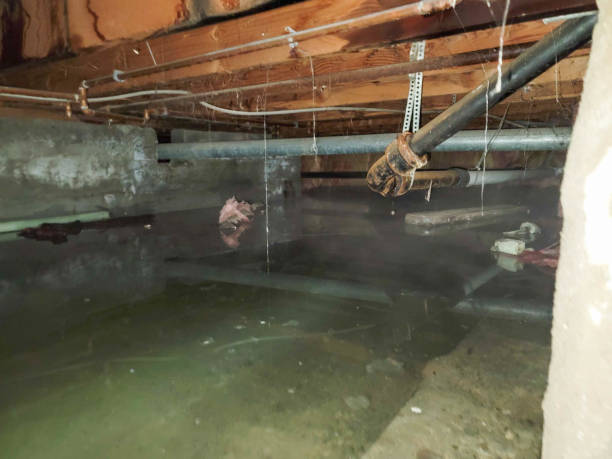 Best Commercial water damage restoration  in Beatrice, NE