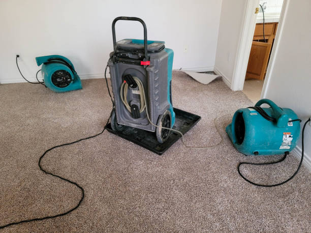 Best Fire Damage Restoration  in Beatrice, NE