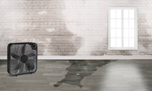 Best Sewage cleanup and water damage restoration  in Beatrice, NE